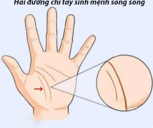 Bói bệnh tật qua chỉ tay là gì? Góc nhìn khoa học và dân gian