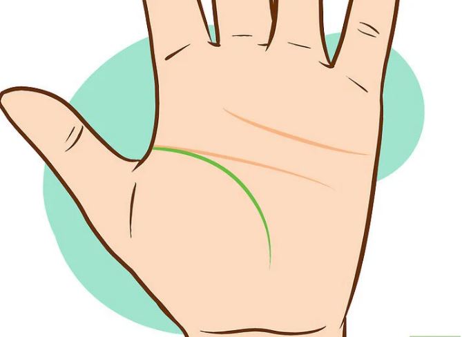 Các đường chỉ tay liên quan đến sức khỏe và bệnh tật