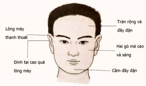 Hướng dẫn tự bói sức khỏe qua khuôn mặt tại nhà