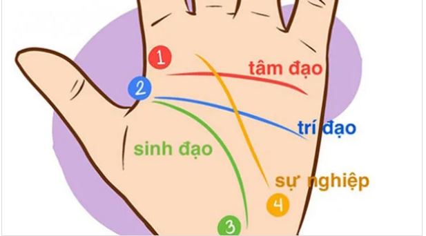 Bói vận mệnh công danh là gì? Lý do bạn nên quan tâm