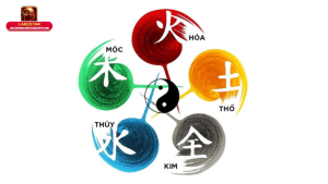 Yếu tố cơ bản tạo nên phong thủy: Từ Bát trạch đến Ngũ hành