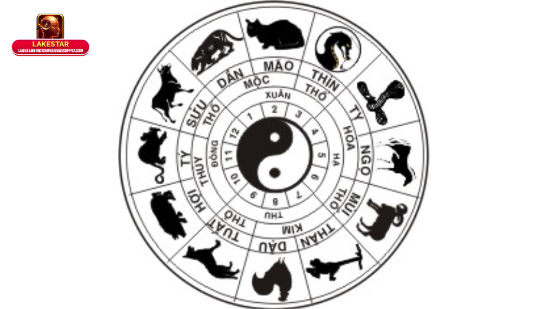 Ứng dụng của tử vi phương Đông trong đời sống hiện đại