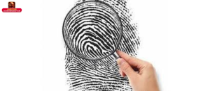 Bói sinh trắc vân tay là gì?