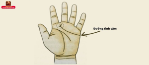 Đường chỉ tay tình duyên có nhánh rẽ là gì? 