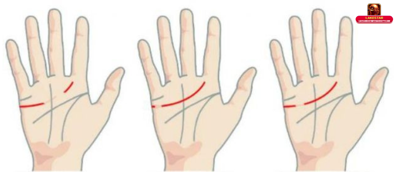 Các trường hợp đường chỉ tay tình duyên đứt đoạn phổ biến và ý nghĩa chi tiết