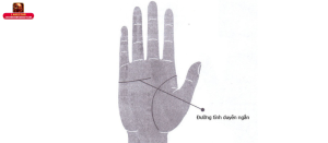 Đường chỉ tay tình duyên ngắn là gì?