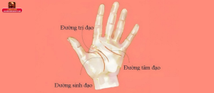 Đường tình duyên chạm vào đường trí đạo là gì?