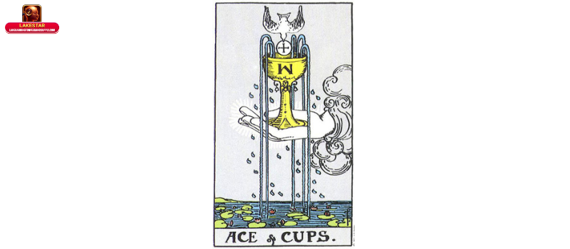 Lá bài Ace of Cups là gì? 