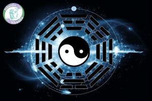 Giới thiệu về bói nghề nghiệp theo Tử vi kết hợp MBTI