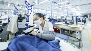 Tổng quan về Vận niên và ảnh hưởng đến nghề nghiệp