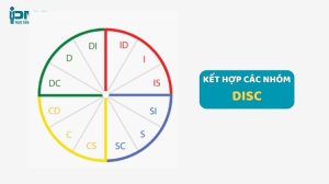 Giới thiệu tổng quan về DISC và lý thuyết cảm xúc của Marston